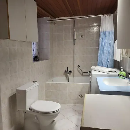 Holiday Bel Panorama - Casa Nel Nucleo By Interhome * Ronco sopra Ascona